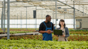 Farm Supervisor with VISA sponsorship job in Canada